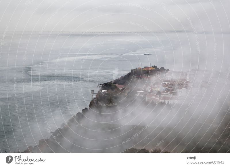 soup Environment Nature Landscape Autumn Bad weather Storm Fog Coast Ocean Gloomy Gray Colour photo Subdued colour Exterior shot Aerial photograph Deserted Day