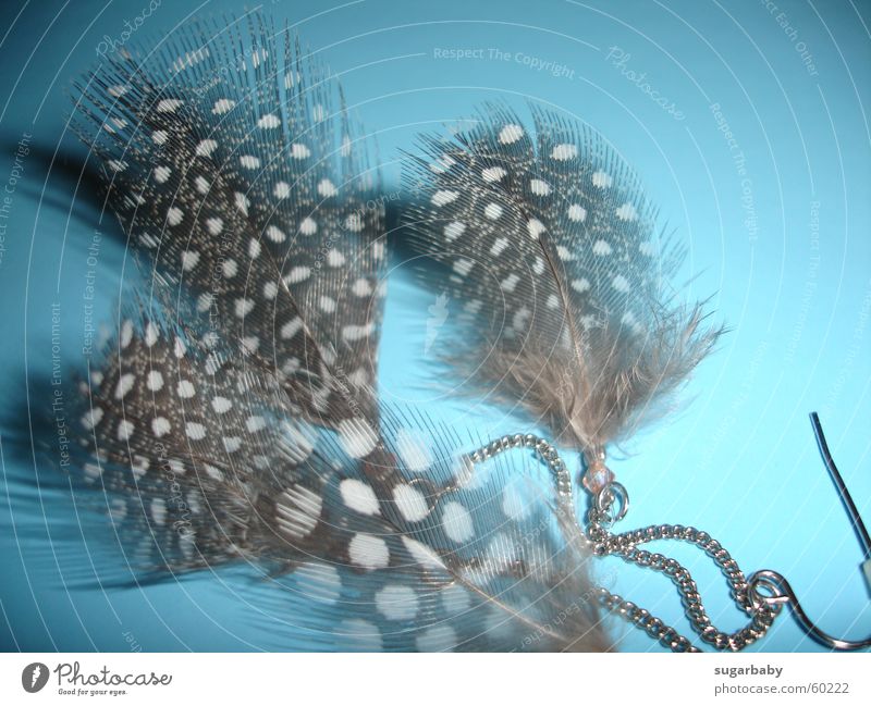 as light as a feather Light blue Brown White Easy Fine Spotted Feather Blue Earring Shadow Chain Point