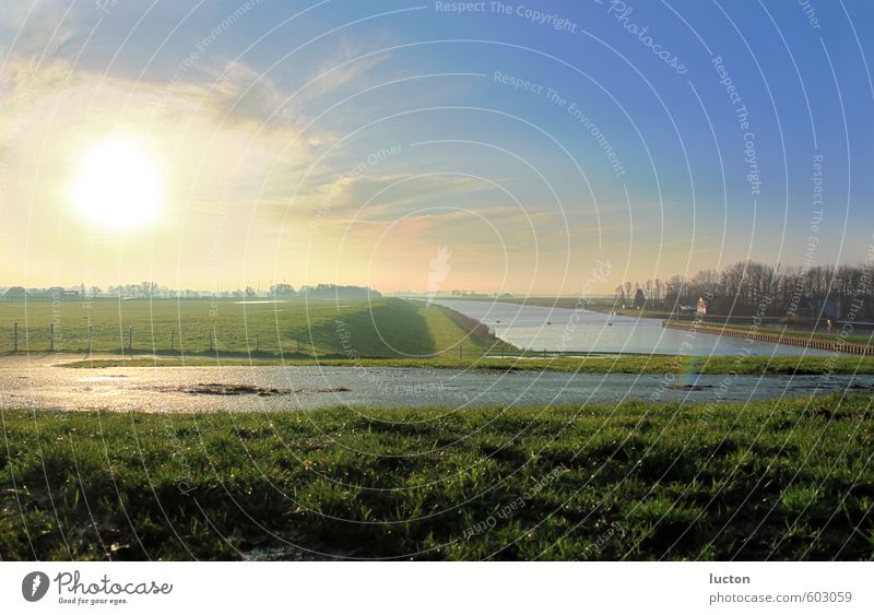 dike | polder at canal in morning sun | North Sea Environment Nature Landscape Earth Water Sky Horizon Winter Beautiful weather Grass coast Polder Dike