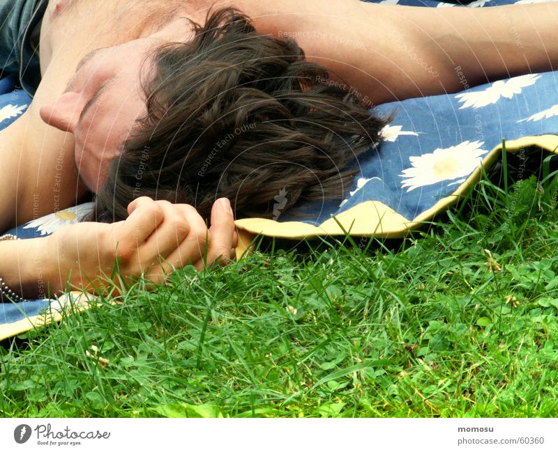 summer feeling Meadow Grass Man Hand Fingers Upper body Masculine Spring To enjoy Picnic Blanket Head Hair and hairstyles spmmer Lie Relaxation