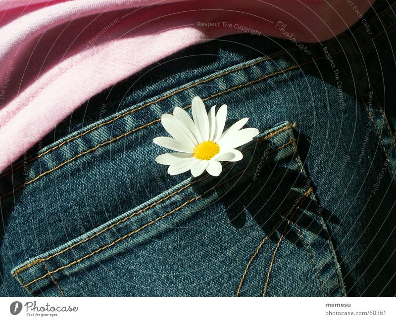 jump everywhere Trouser pocket T-shirt Spring Summer margarithe Jeans