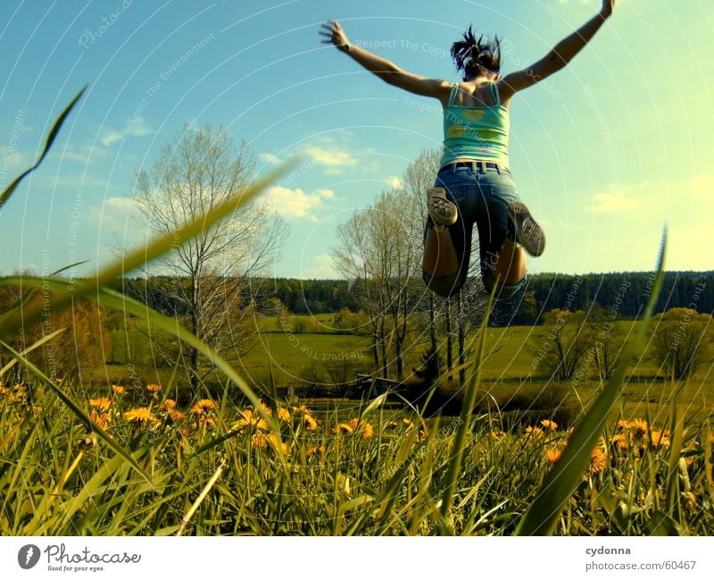 take off once... Jump Hop Spring Meadow Dandelion Blossom Flower Grass Style Flying Joy Landscape Human being