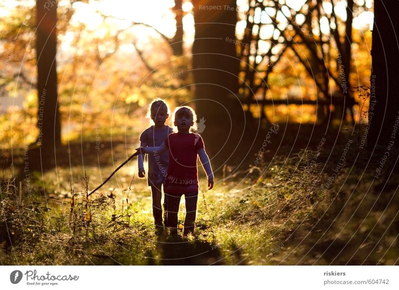 just the way you are vii Human being Feminine Child Girl Brothers and sisters Sister Infancy 2 3 - 8 years Environment Nature Autumn Beautiful weather Forest