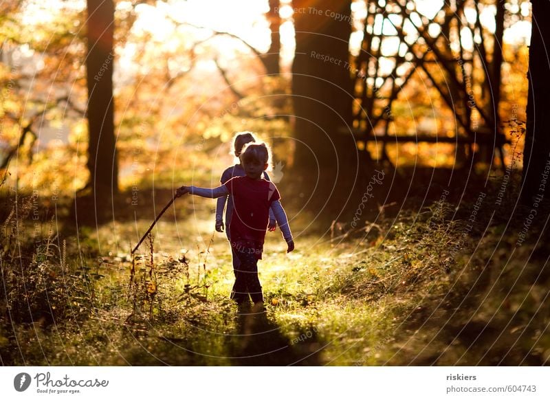 just the way you are vi Human being Feminine Child Girl Brothers and sisters Sister Infancy 2 3 - 8 years Environment Nature Autumn Beautiful weather Forest