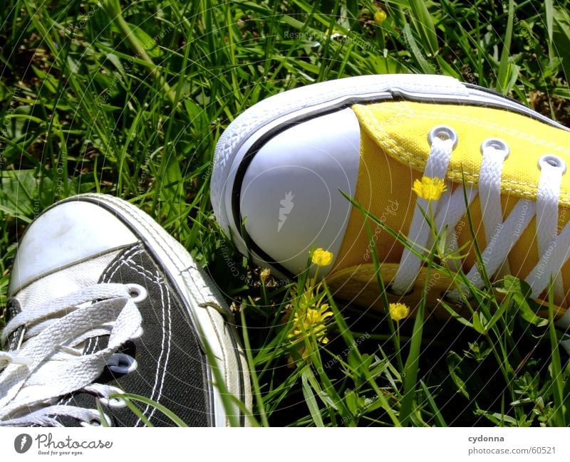 I love Chucks! Footwear Iconic Style Shoelace Spring Jump Meadow Grass Flower Blossom Clothing Detail Sun
