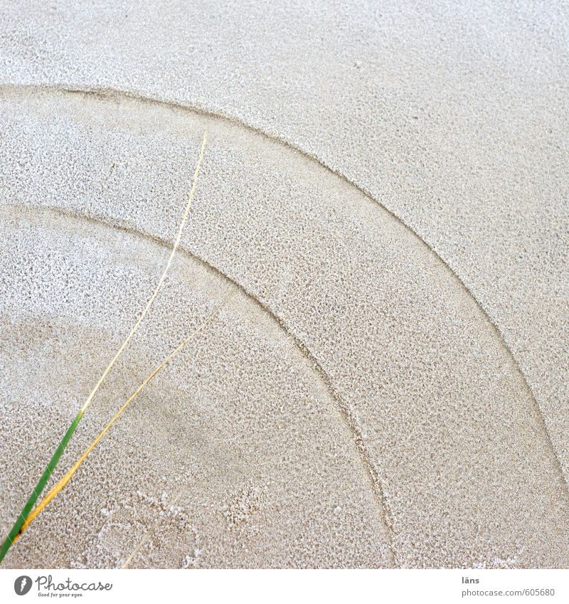 Dune Grass Sand Clock Environment Nature Landscape Plant Earth Winter Ice Frost Coast Baltic Sea Island Esthetic Brown Eternity Transience Time Circle Furrow