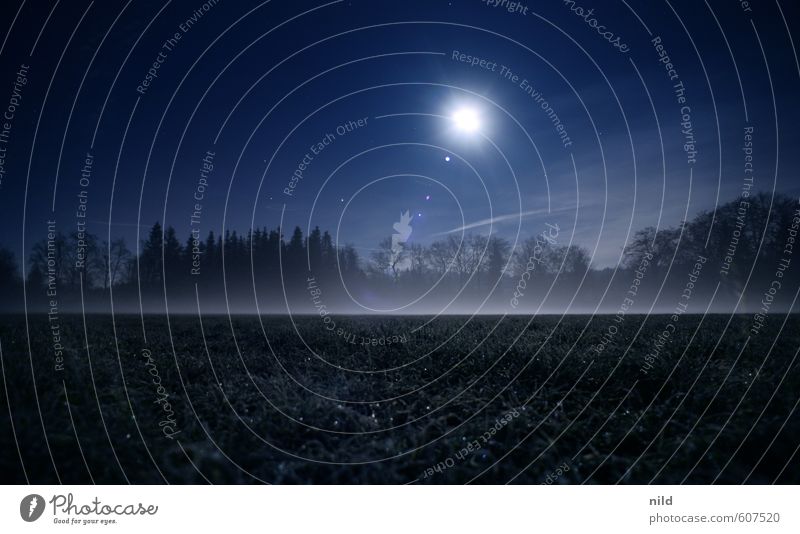 fog field Environment Nature Landscape Sky Night sky Moon Autumn Winter Weather Fog Ice Frost Meadow Field Dark Creepy Cold Blue Fear Colour photo Exterior shot