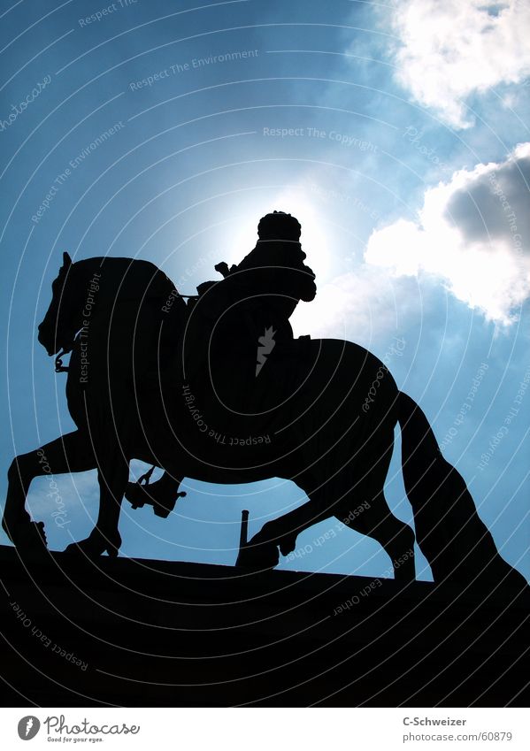Jan Wellem Jan Wellem equestrian monument Horse Monument Statue Midday Rider Sky Sun