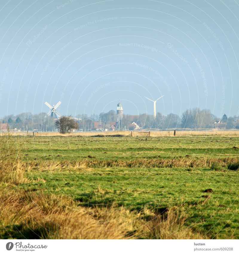View of East Frisian landscape with windmill Agriculture Forestry Wind energy plant Environment Nature Landscape Sky Sun Winter Beautiful weather Grass Meadow