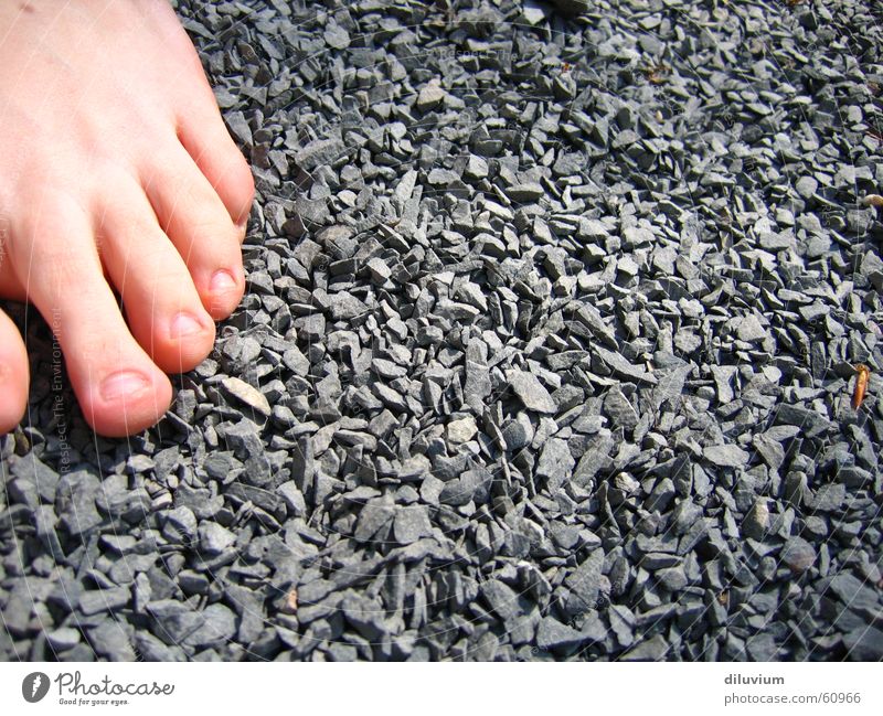 Path of the senses Corner Toes Barefoot Physics Emotions Senses Stone Sharp-edged Feet Warmth outside