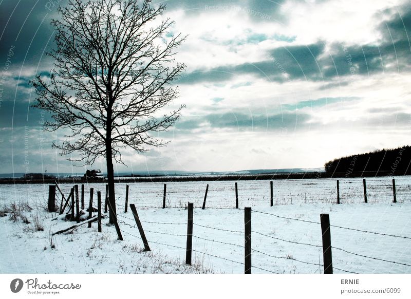 winter impression Tree Winter Fence Wood Cold Clouds Snow Cover Nature Landscape Exterior shot