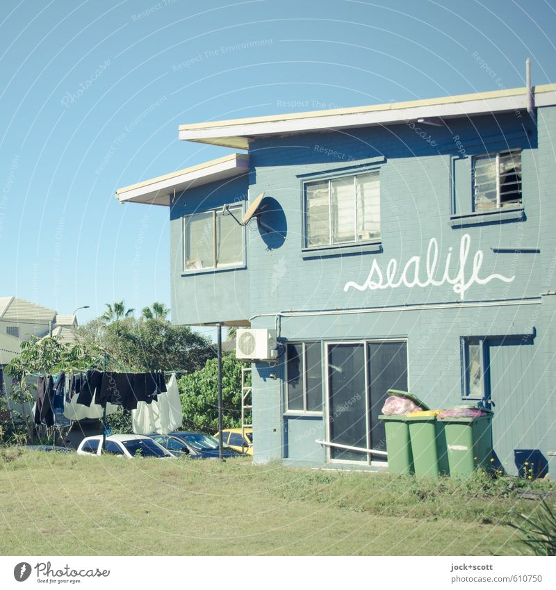 local sealife Environment Cloudless sky Beautiful weather Meadow Queensland House (Residential Structure) Store premises Facade Trash container Cotheshorse