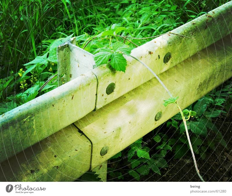 welcome to the jungle Crash barrier Bushes Virgin forest Hedge Street Traffic infrastructure Safety Transience passive protection device luring growth