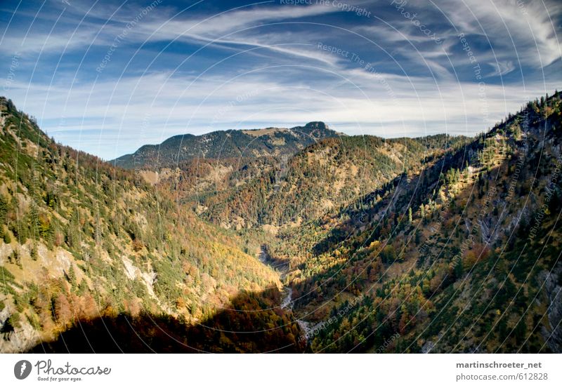 View into the Wolfsschlucht gorge near Wildbad Kreuth Nature Landscape Plant Air Sky Autumn Beautiful weather Alps Mountain Hiking Colour photo Multicoloured