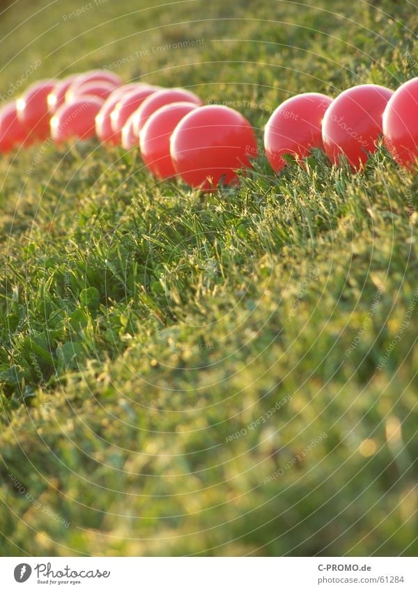 Invasion of the red... Meadow Light Red Green Art Abstract Grass Lawn Ball race to meadow to light to art abstractly to grass balls
