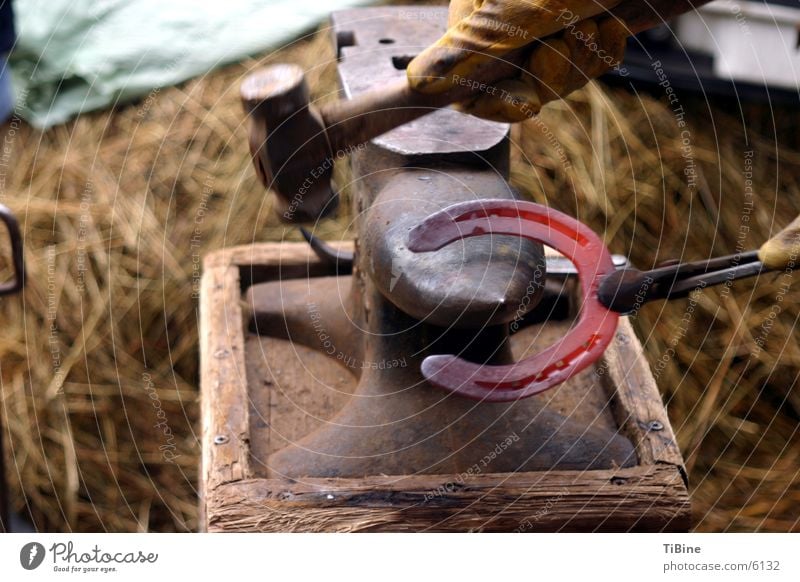glowing horseshoe Horseshoe Incandescent Blacksmith Craft (trade) Smithy Anvil Hammer