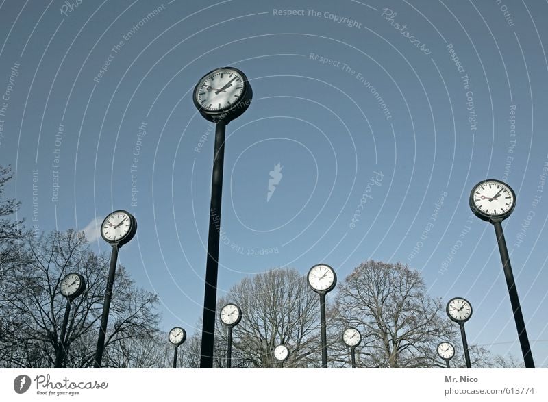 clock forest Environment Sky Cloudless sky Tree Park Large Prompt Art Clock Time 11 Midday Past Present Day Point in time Transience Afternoon