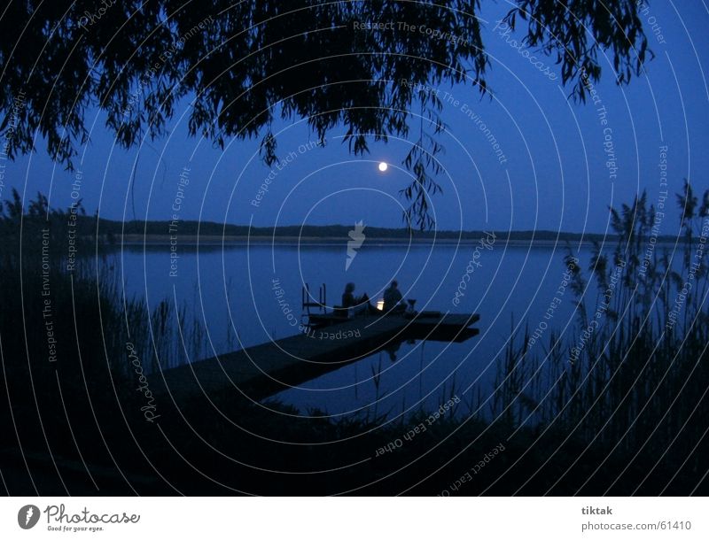 Blue hour Night Moonlight Moonrise Lake Vacation & Travel Romance Camping Eerie Mystic Dusk Water Footbridge Available Light Exterior shot