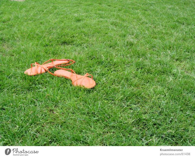 My Shoes Footwear Sandal Meadow Green Summer Orange