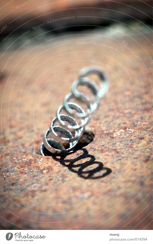 Totally crazy :-) metalwork Metal coil Metalware Art Work of art Steel Rust Spiral swivel chip Shavings Iron shavings Rotate Stand Throw Exceptional Thin Simple