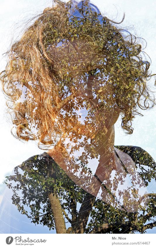 Who am I? Feminine Tree Curl Contentment Branched Lifestyle Forest Meditative Exceptional Emotions Power Double exposure Brain and nervous system