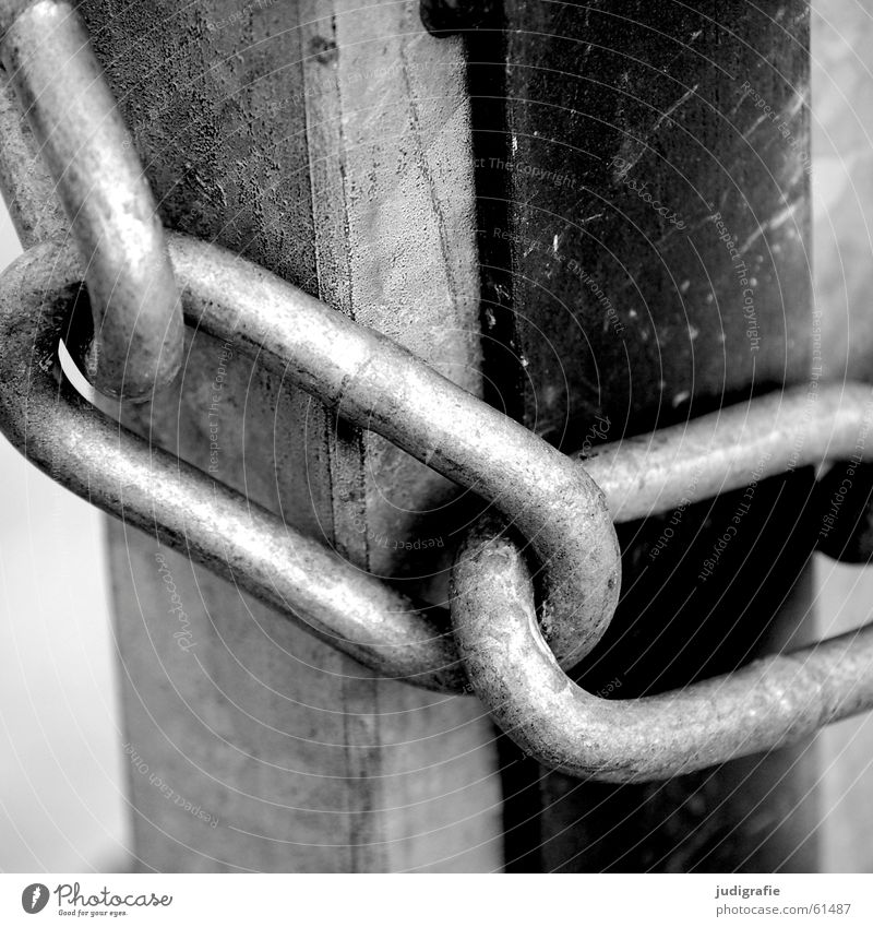 Closed Chain link Black White Together Hold Bans Barred Barrier Captured Metal Gate Door Feasts & Celebrations Exclude