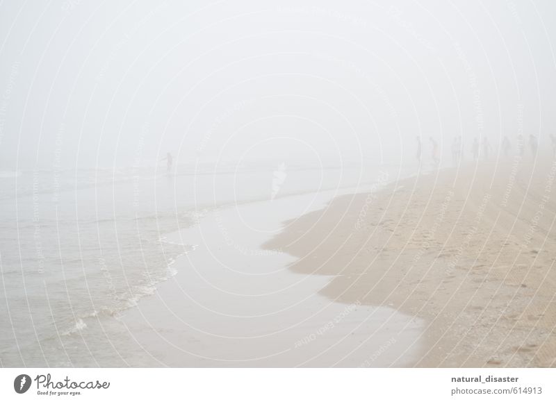 People by the sea in the fog. Trip Adventure Far-off places Beach Ocean Group Coast Swimming & Bathing Walking Running Athletic Crazy Brown White Joy Bravery