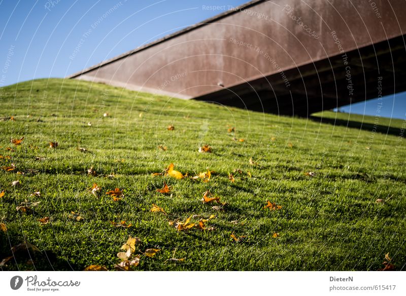 autumn mood Garden Park Meadow Brown Green Leaf Lawn Steel Rust Blue Colour photo Exterior shot Deserted Copy Space left Copy Space right Copy Space top