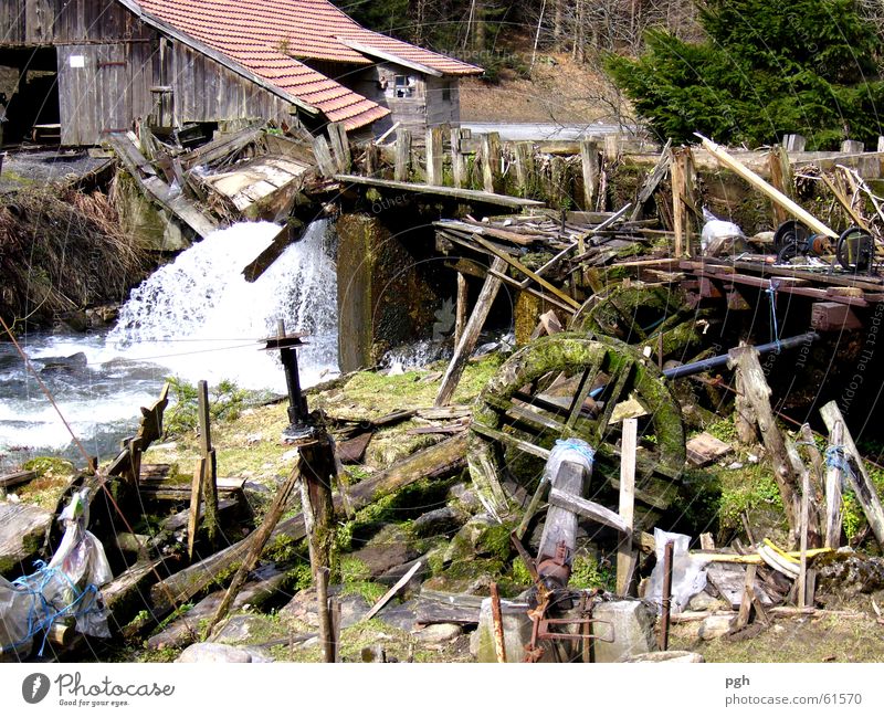 Snow disaster in the Bay. wood Disaster Bavarian Forest Sudden fall Break-in Wood Snow melt Waterfall Bridge Museum snow disaster River