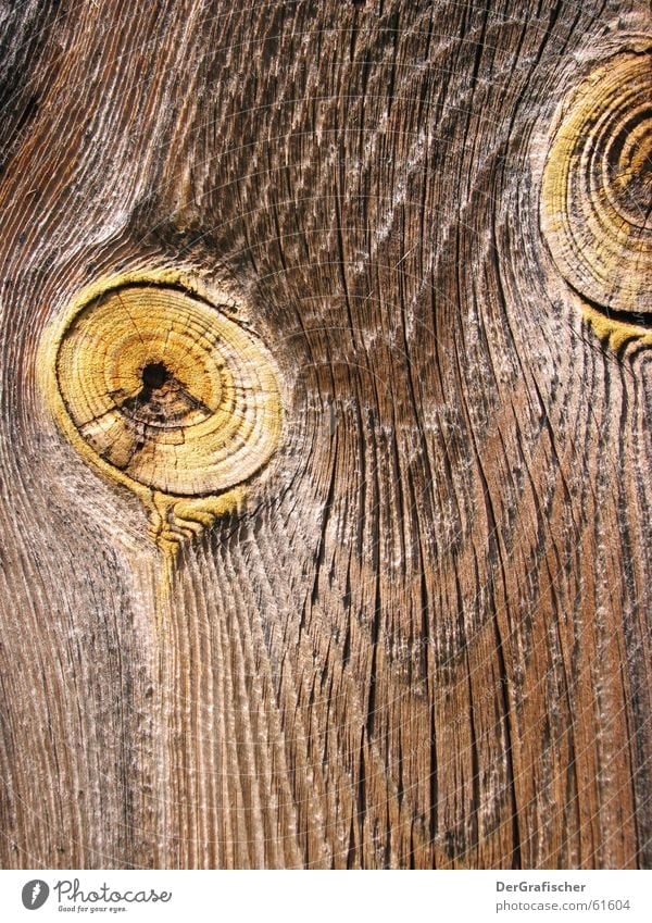 wooden block Wood Knothole Looking Squint Pattern Crack & Rip & Tear Rough Wood flour Wood grain Eyes Wooden board Branch Curve Line Structures and shapes lines