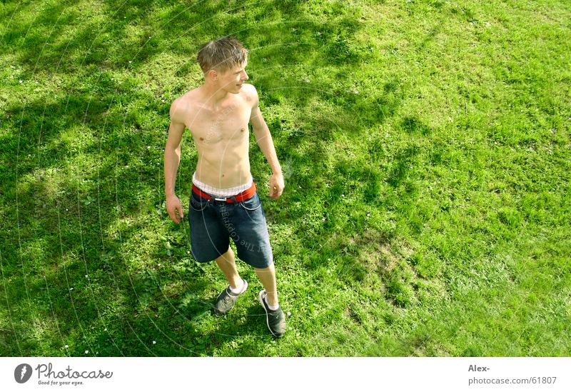What the future holds ... Man Small Upper body Pants Stand Meadow Grass Summer Physics Posture Boy (child) boy Above Perspective Garden Warmth