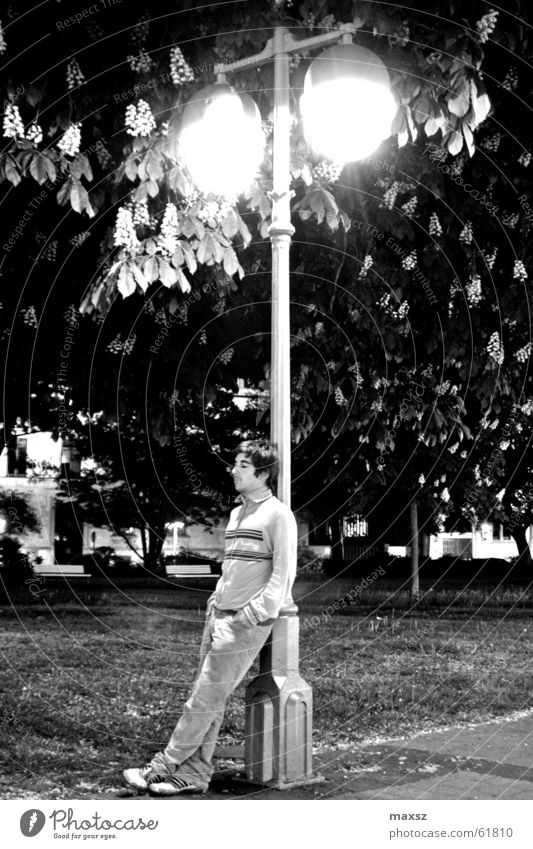 Lonely Stranger Loneliness Foreign Lantern Tree Blossom Black White Hannover Sidewalk lonely strange stringer street lights and opera square Germany Lawn dario