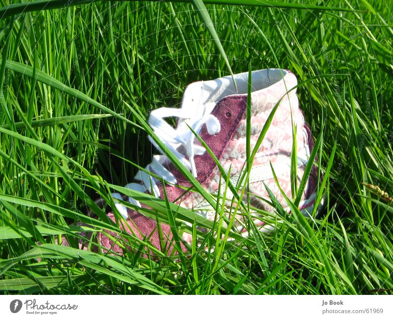 chucks Footwear Grass Green Summer Doomed Pink Shoelace shoe Feet foot lost girl's shoe