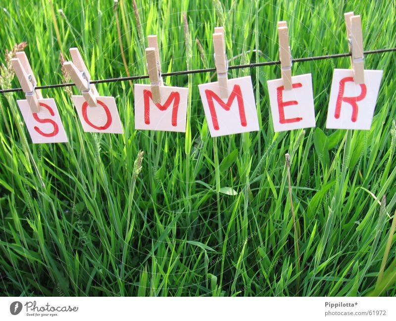 Summer ll Letters (alphabet) Grass Clothesline Meadow Seasons Happiness Good mood Beautiful Small Green Physics Rope To hold on Free Joy Characters Lawn Warmth