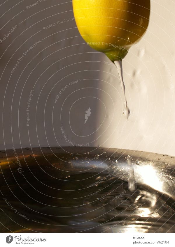 lemon Lemon Experimental Water Drops of water Sun Silver Bright