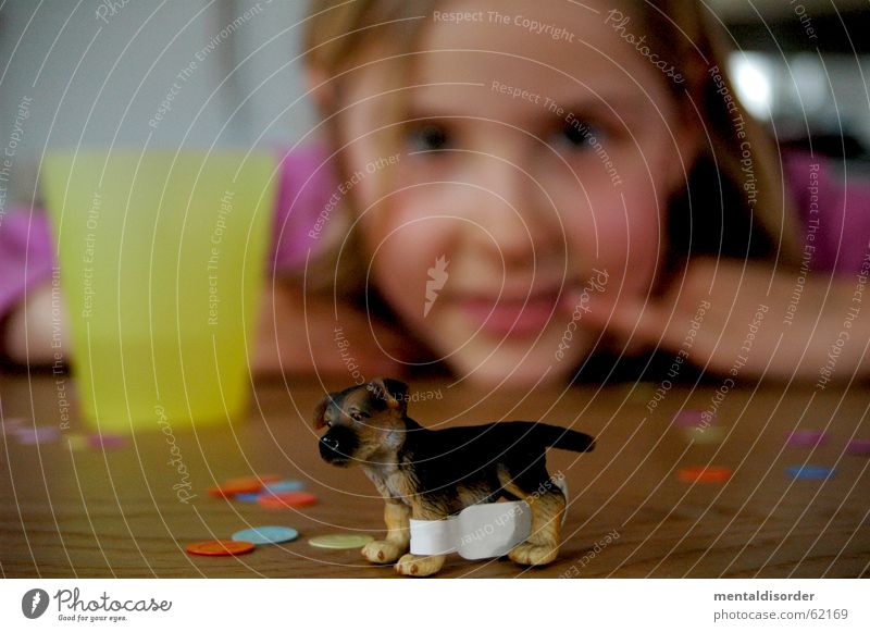 Blur and ... Child Girl Dog Playing Toys Table Confetti Wood Fingers Hand Stand Mug Pelt Things Looking Animal Paw Wood flour Vantage point Face Ear Eyes Mouth