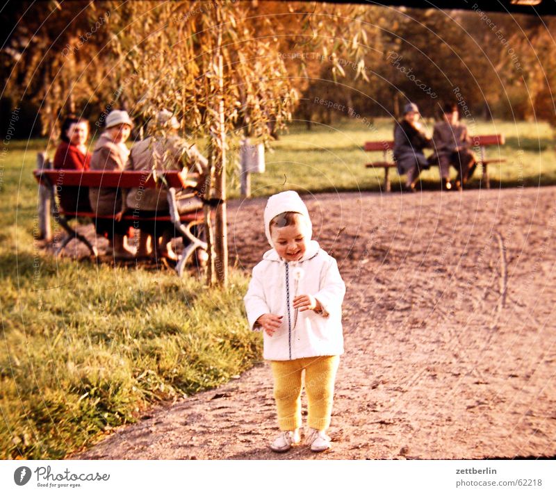 Very early III Child Toddler Dandelion Senior citizen Park bench Sixties Boy (child) old photo