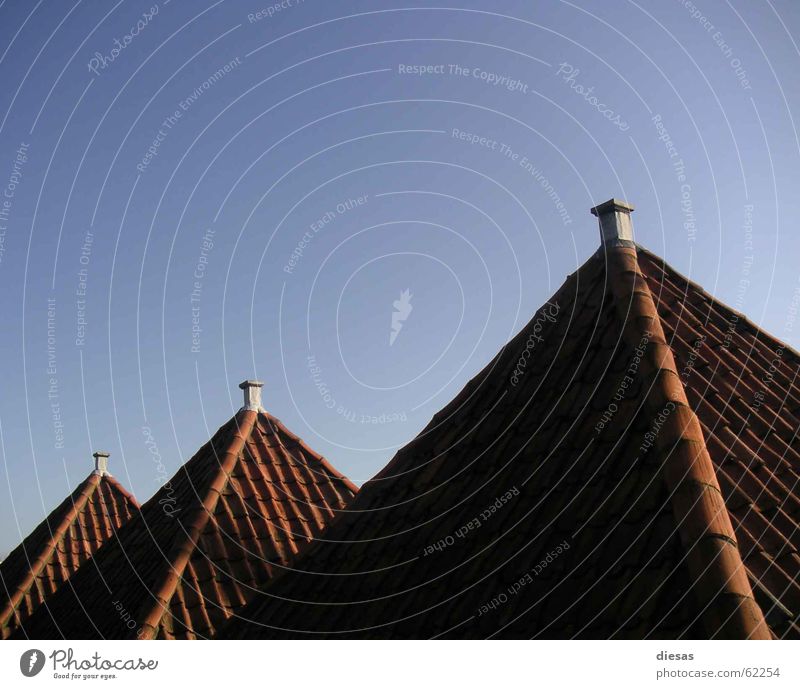 Pyramids of Holland House (Residential Structure) Roof Roofing tile Red Evening sun Row Chimney Architecture
