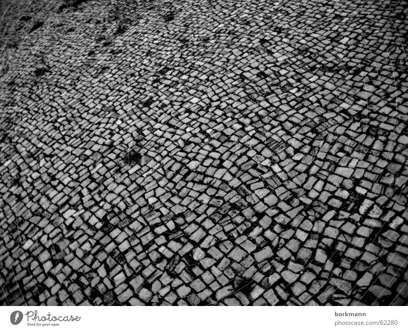 station paving Town Places Surface Street Black & white photo Lanes & trails structure Contrast merseburg Paving stone