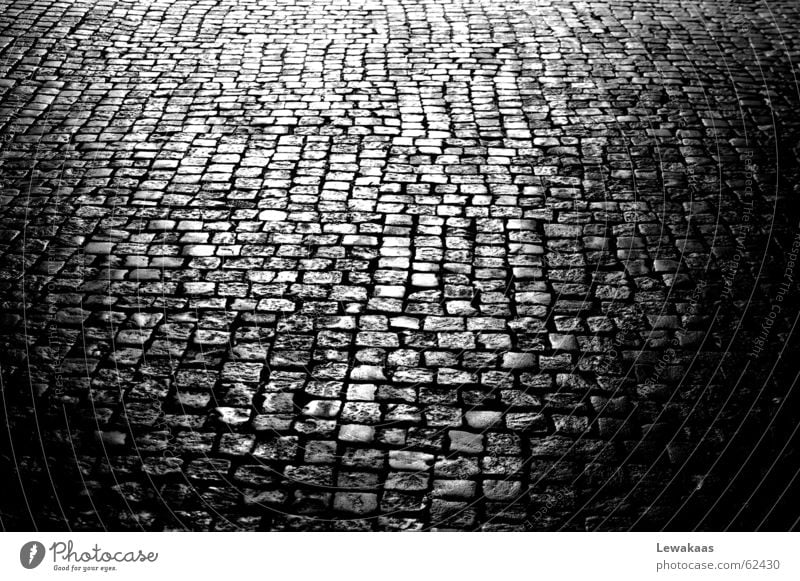 cobblestone Black White Light Floor covering Town Ancient Nostalgia Mirror Beautiful Fortress Nuremberg Stone Shadow Old Old town Reflection Medieval times