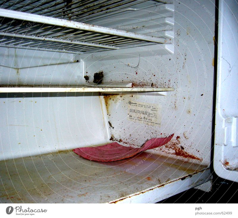 Did you look in the fridge today? Icebox Kitchen Dirty Harmful Cleaning Colour Guide Shabby Floor cloth Oil