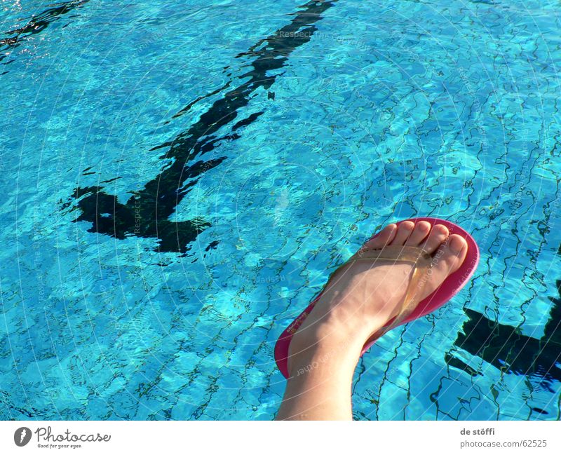 Let me take a bath! Swimming pool Flip-flops Style Summer Vacation & Travel Toes Water Feet Blue Joy