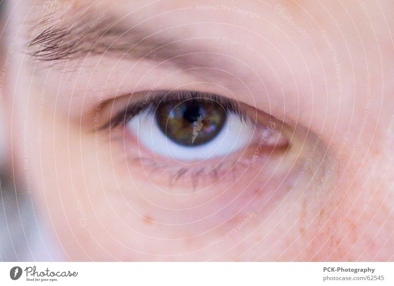 looked in Woman Skin color Blur Freckles Eyelash Eyebrow Mystic Pervasive Pink Complexion Mysterious Eyes Looking protrait Macro (Extreme close-up)