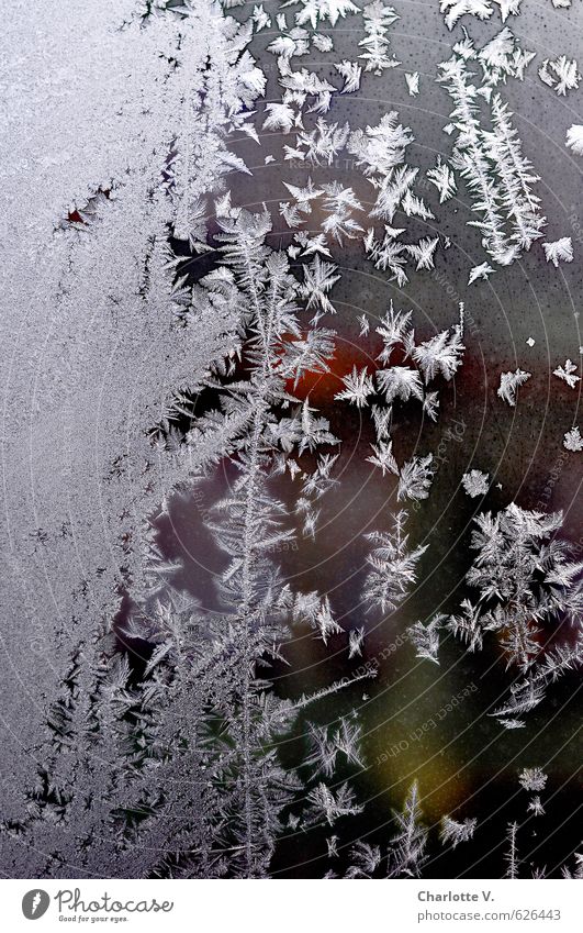 ice springs Nature Elements Water Winter Ice Frost Window Window pane Glass Crystal Freeze Esthetic Dark Firm Cold Yellow Gray Green Red White Complex Pure