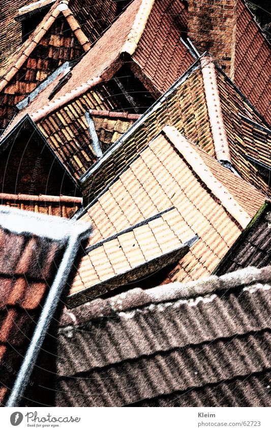 Roofs, roofs, gables, old town of Quedlinburg Old town Building Stone Red Arrangement Roofing tile World heritage Saxony-Anhalt Half-timbered facade Germany