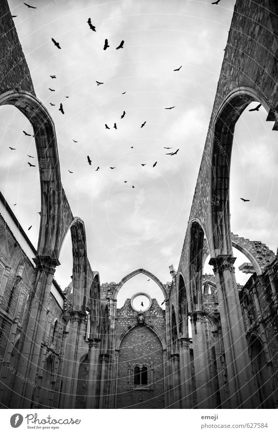 house of God Sky Deserted Church Ruin Manmade structures Building Tourist Attraction Animal Bird Flock Exceptional Threat Dark Gray Motion picture