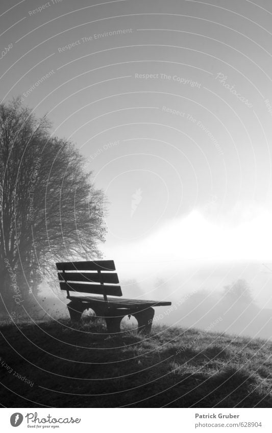 Lonely bench in the morning fog Landscape Fog Meadow Village Contentment Loneliness Culture Art Stagnating Dream Bench Rest bench Dawn Resting point Nature