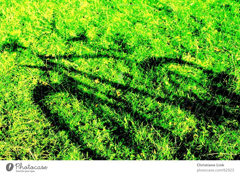 bicycle shadow Bicycle Meadow Grass Green Summer Shadow Movement Nature Sun Joy Exterior shot