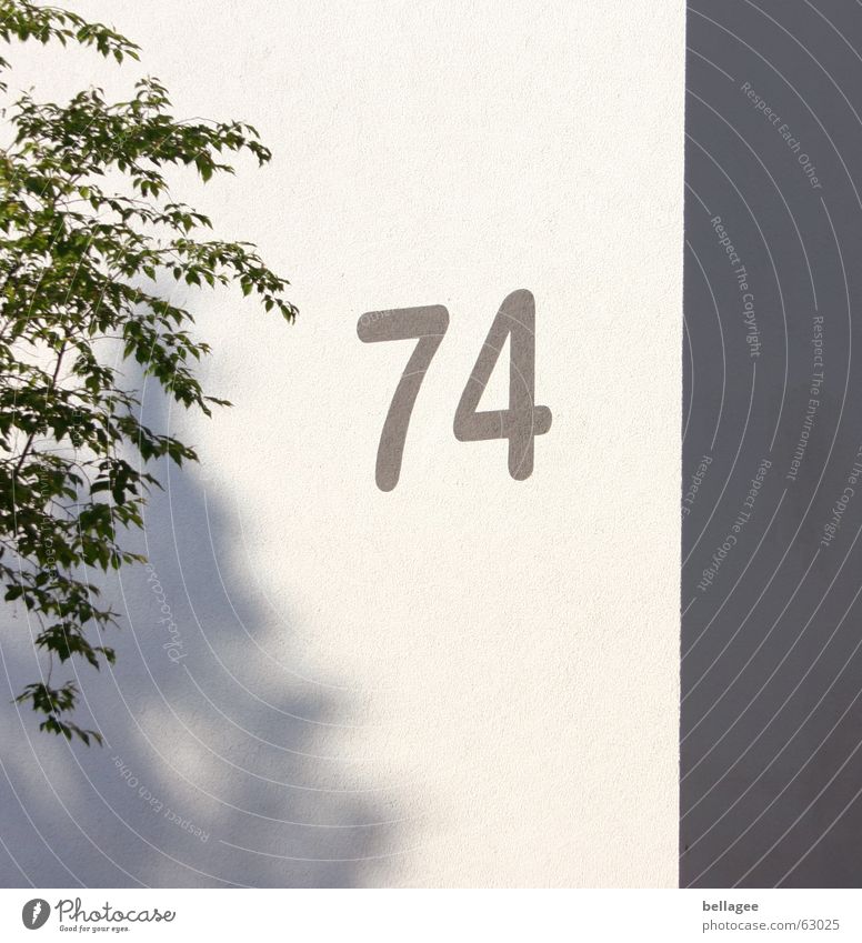 74 Digits and numbers Wall (building) Tree House number Corner Gray White Exterior shot Shadow gerde seventy-four