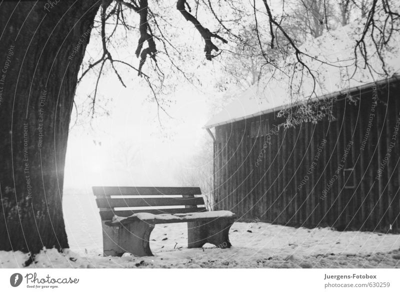 seat Nature Winter Snow Tree Field Deserted Hut Concrete Wood Freeze Hiking Wait Authentic Bright Cold Black White Humble Sadness Grief Pain Loneliness Distress